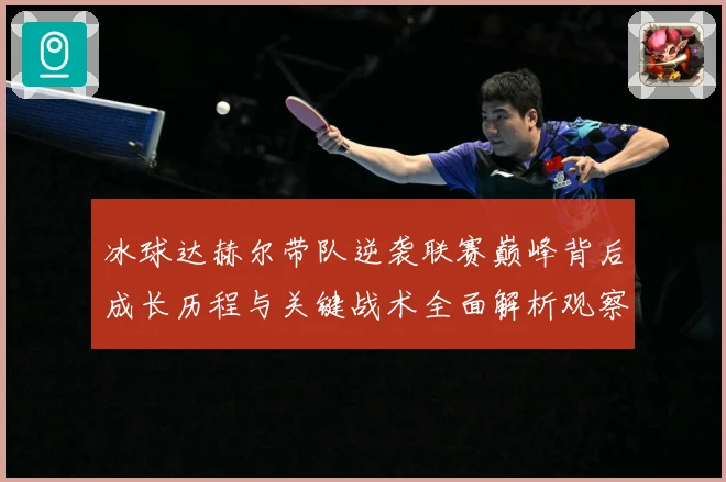 冰球达赫尔带队逆袭联赛巅峰背后成长历程与关键战术全面解析观察记