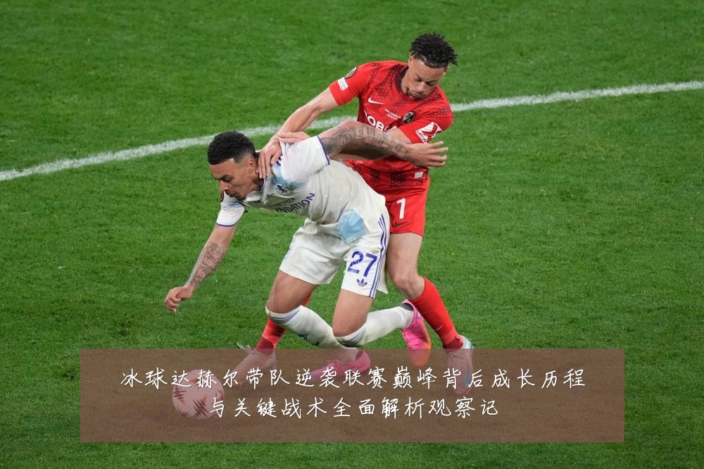 冰球达赫尔带队逆袭联赛巅峰背后成长历程与关键战术全面解析观察记